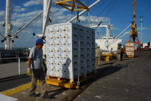 exportacion-alimentos