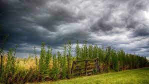 tormenta