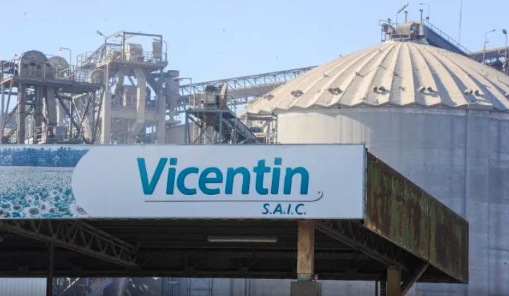 VICENTIN6
