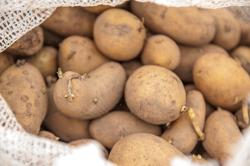 papas-negras-1