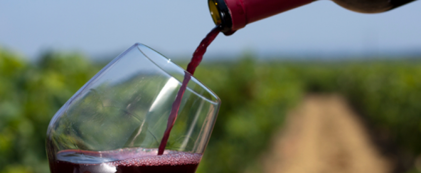 vinoargentino3