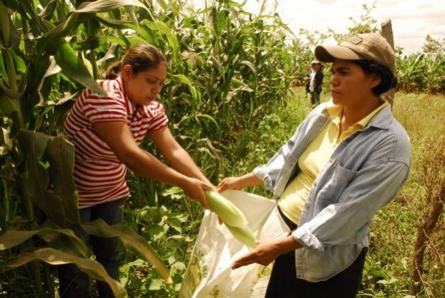 Mujeres-rurales