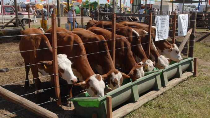 expoagro-678x381