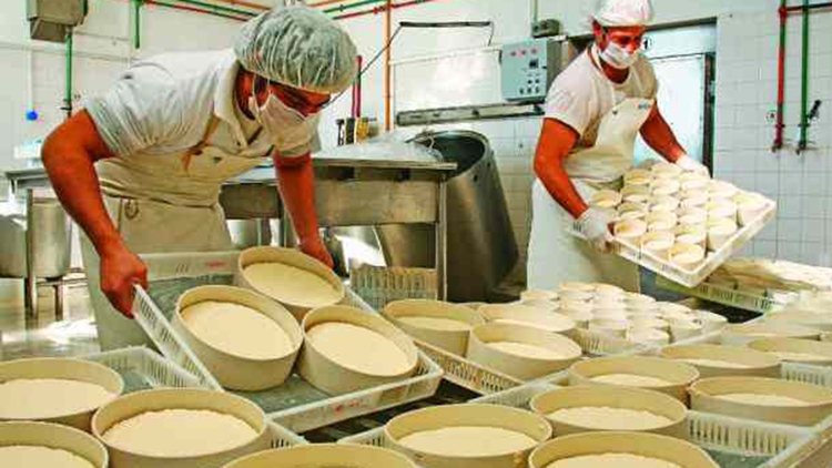 campo-pymes-lacteas
