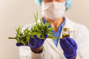 Cannabis-medicinal