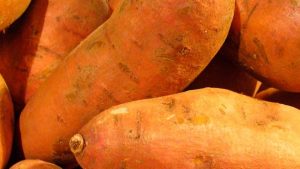 batata2