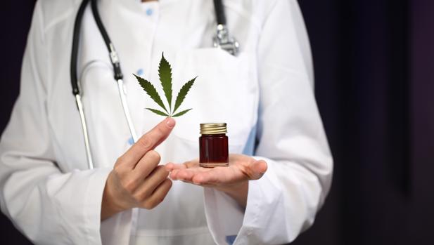 Misiones:  en septiembre la Biofábrica tendrá la primera cosecha de cannabis para fines medicinales