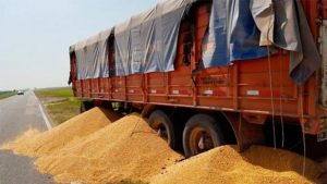 camion_granos