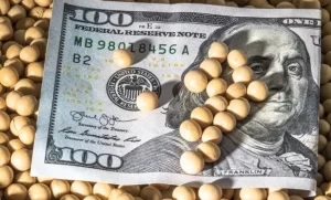 dolar-soja