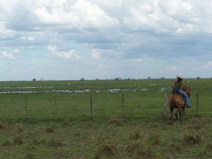 humedales-2