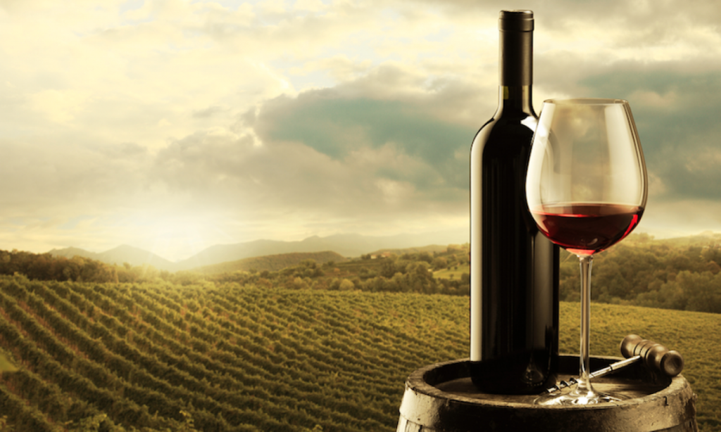0000-vinos