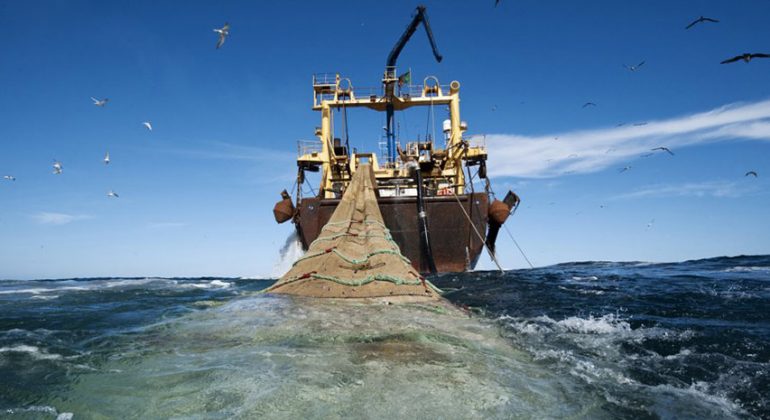pesca2