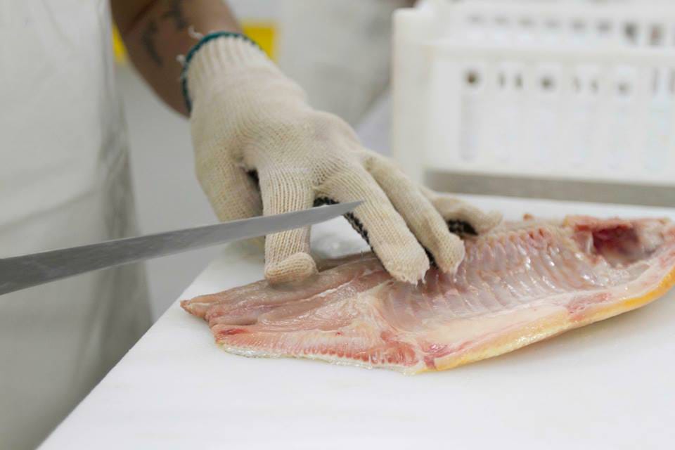 Choa Pacu «Se habilito un frigorífico de Chaco para exportar pacú a los Estados ...