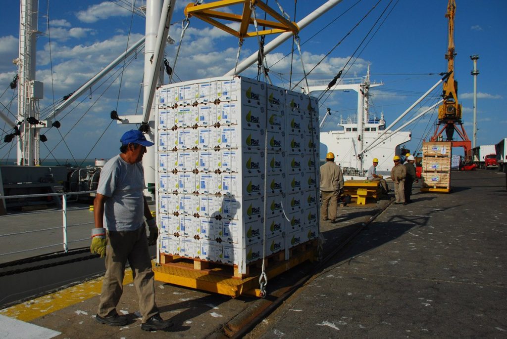 exportacion-alimentos