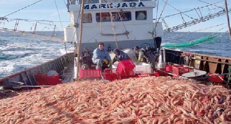 Pesca-de-langostinos