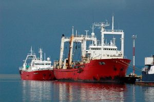 Revista-Puerto-Merluza-Negra-BP-Tai-An