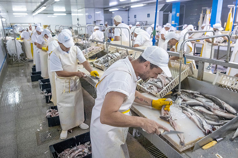 Revista-Puerto-Merluza-Trabajo-en-planta-de-procesamiento