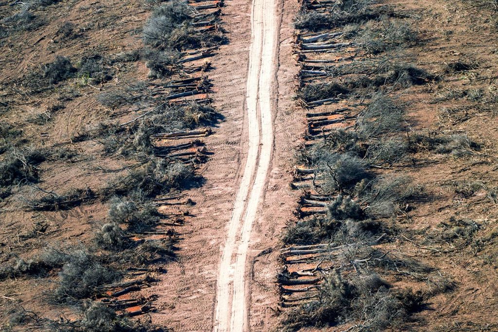 desmontes-chaco-01