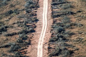 desmontes-chaco-01