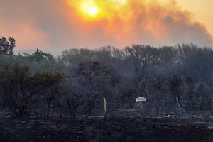 fuego-incendio_cordoba-2024-03