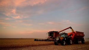 produccion-cosecha-466315-161731