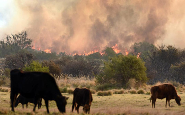 incendios-cordoba