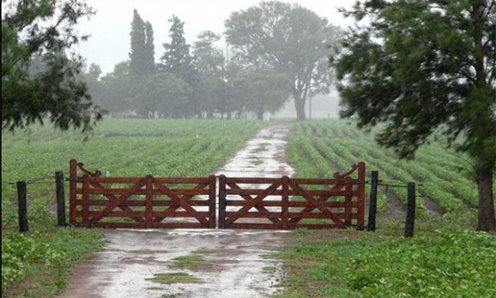 lluvia-para-el-campo