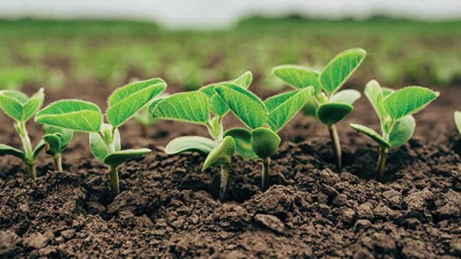 6372845fed965_907_510!