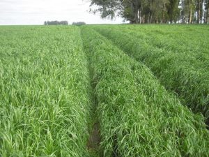 5e8b55994b719_837_627!