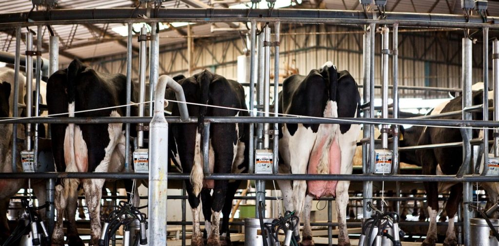 1gcNQN-bL_1256x620__1