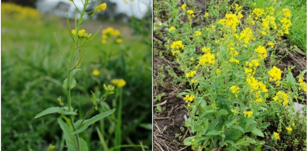 22l79L0Zo_1256x620__1