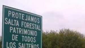 891430-salta-20forestal