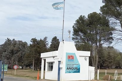 Imagen1