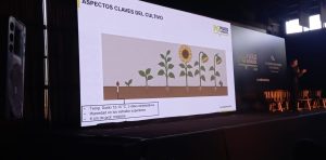 MBveyUAcX_1256x620__1