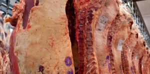 SysYcbTNf_1256x620__1