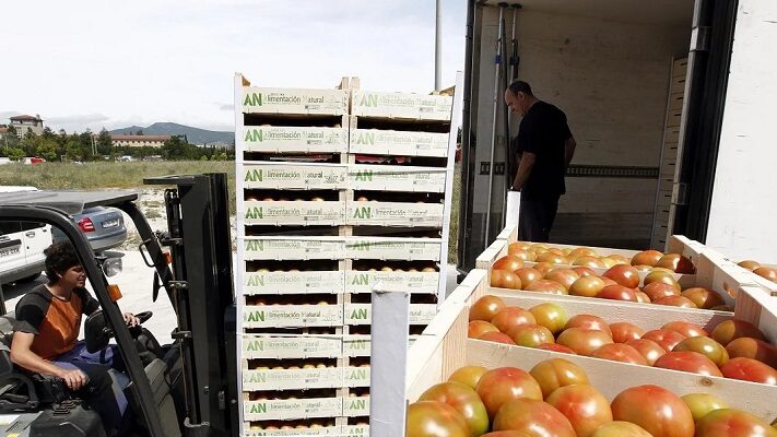 alimentos-tomates-711x400
