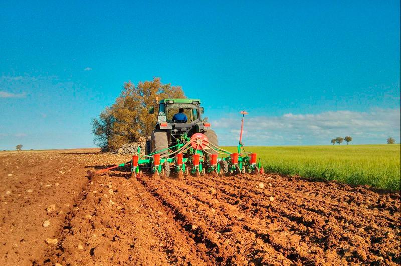 Se demora la siembra de girasol – Comunidad Campo