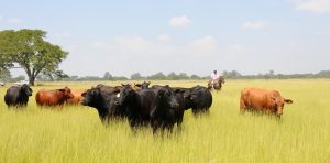 jceidKm-8_1256x620__1