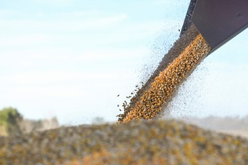 hhmaAsOQv_360x240__1