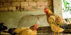 ytfG72I25_1256x620__1