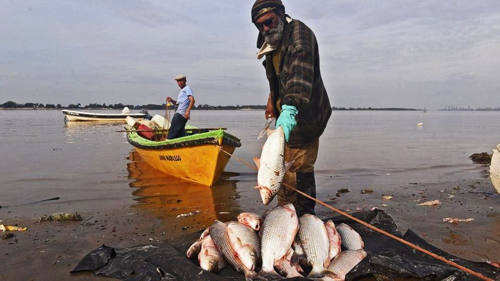 1811pesca-1455962