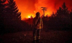 Alerta extrema por incendios en la Patagonia