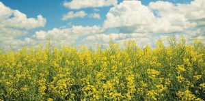 ugIhQpu0Z_1256x620__1