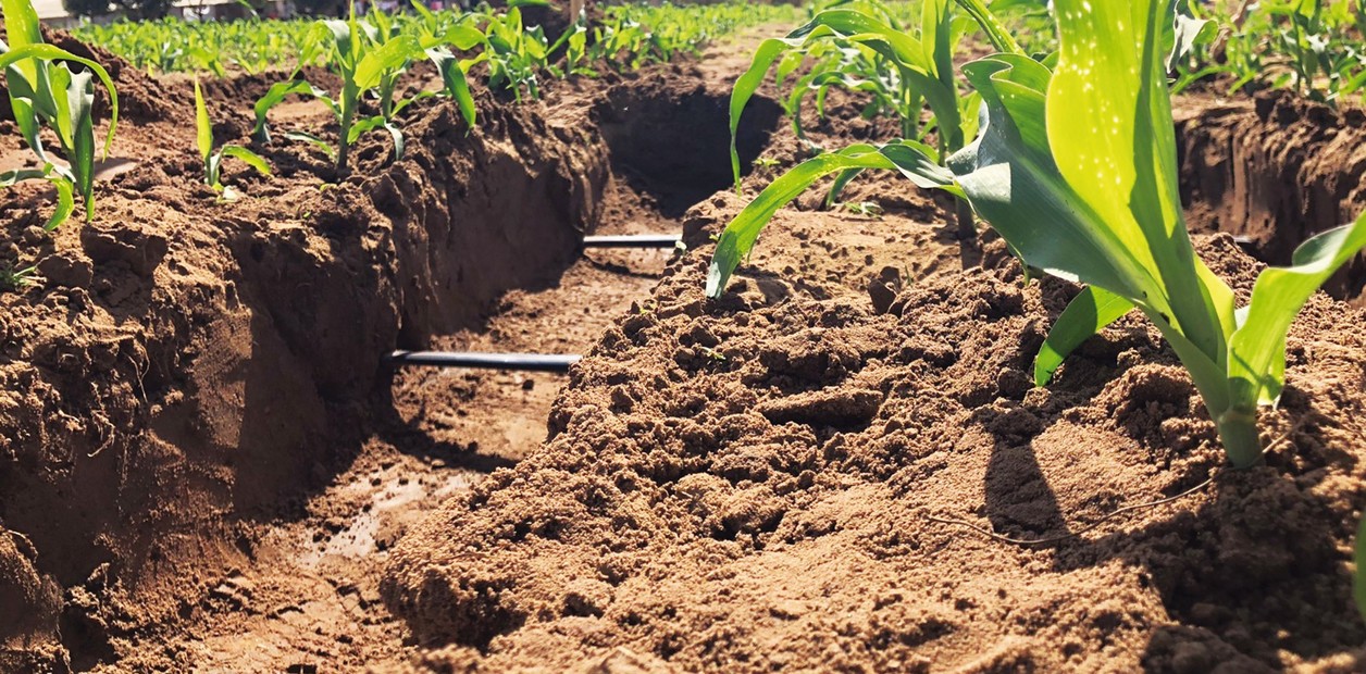 64WwmYR26_1256x620__1