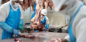 IMTiUjMZs_1256x620__1