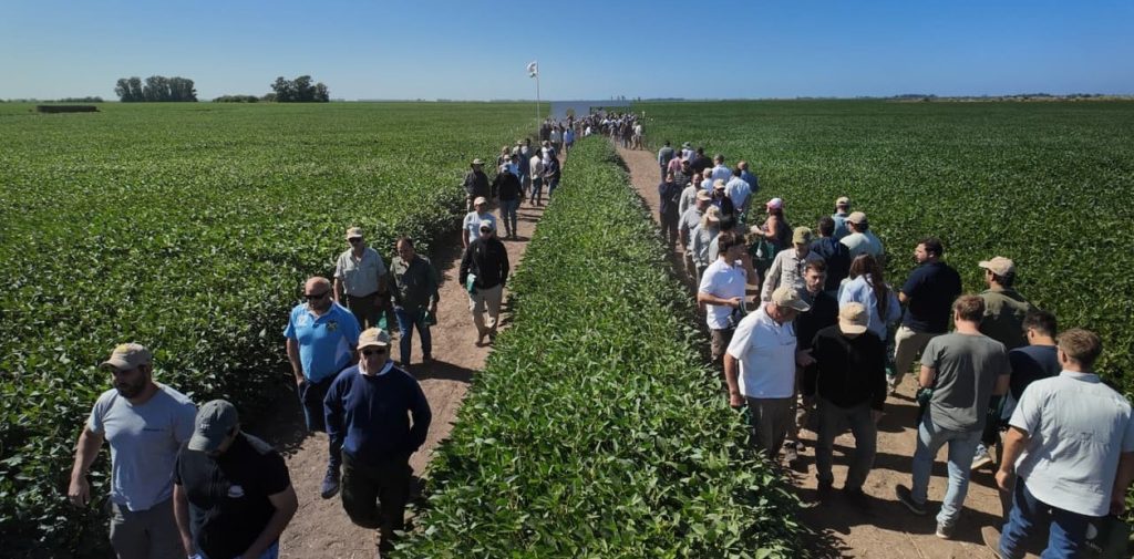 LTOI8OEwz_1256x620__1