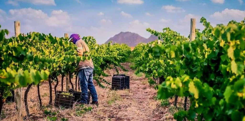 Um7Vmj0W9_1256x620__1