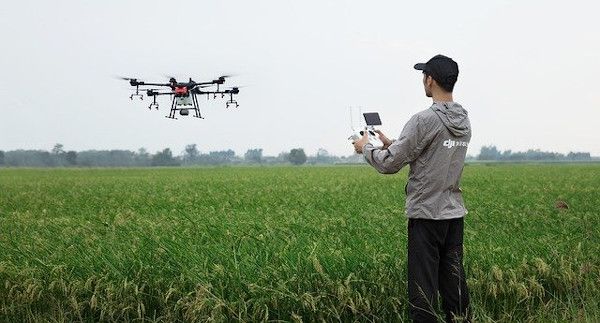 drones-agricolas-600