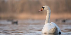 l8Iu0b0xP_1256x620__1