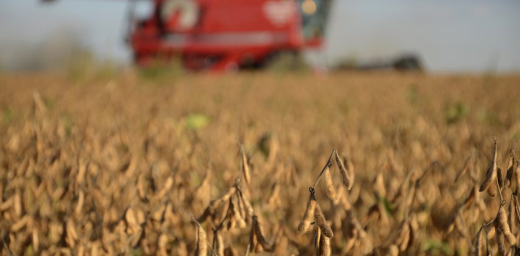 qtBbjcTtO_1256x620__1